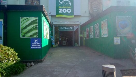 blackpool zoo