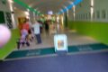 blackpool zoo
