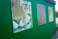 blackpool zoo