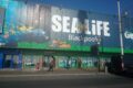 sea life centre blackpool (1)