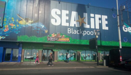 sea life centre blackpool (1)