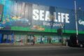 sea life centre blackpool (2)