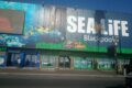 sea life centre blackpool (4)