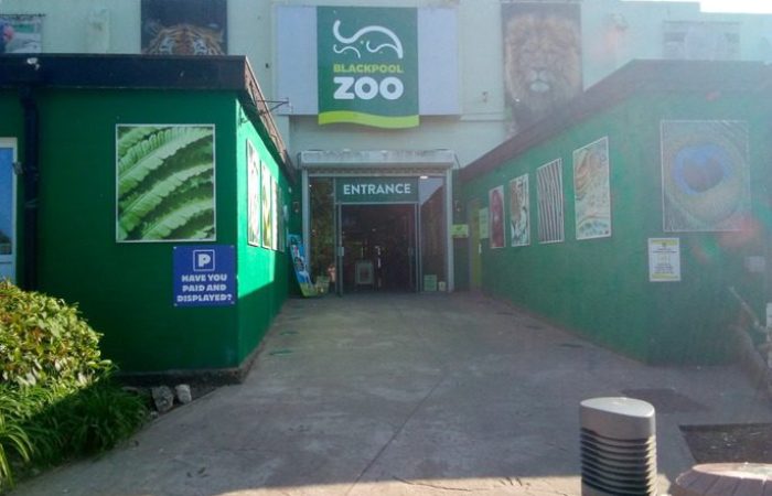 blackpool zoo