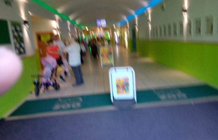 blackpool zoo