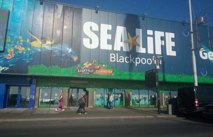 sea life centre blackpool (1)