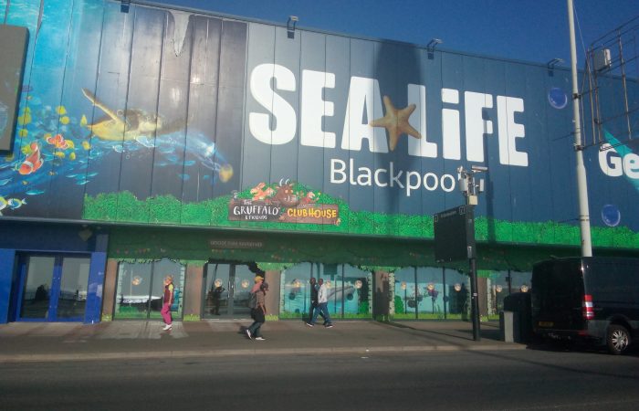 sea life centre blackpool (2)