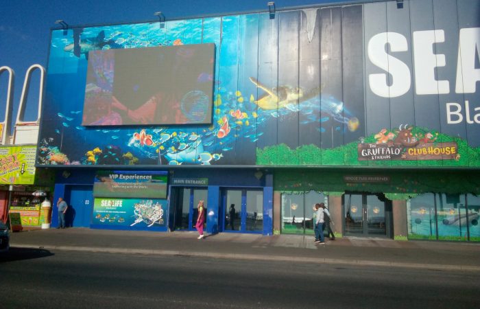 sea life centre blackpool (3)
