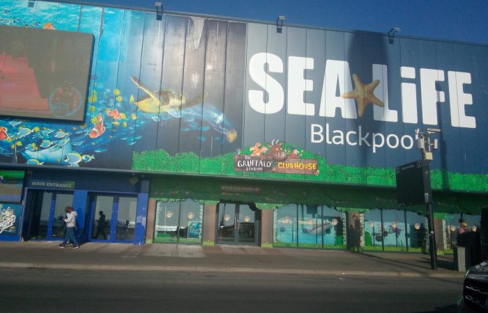 sea life centre blackpool (4)